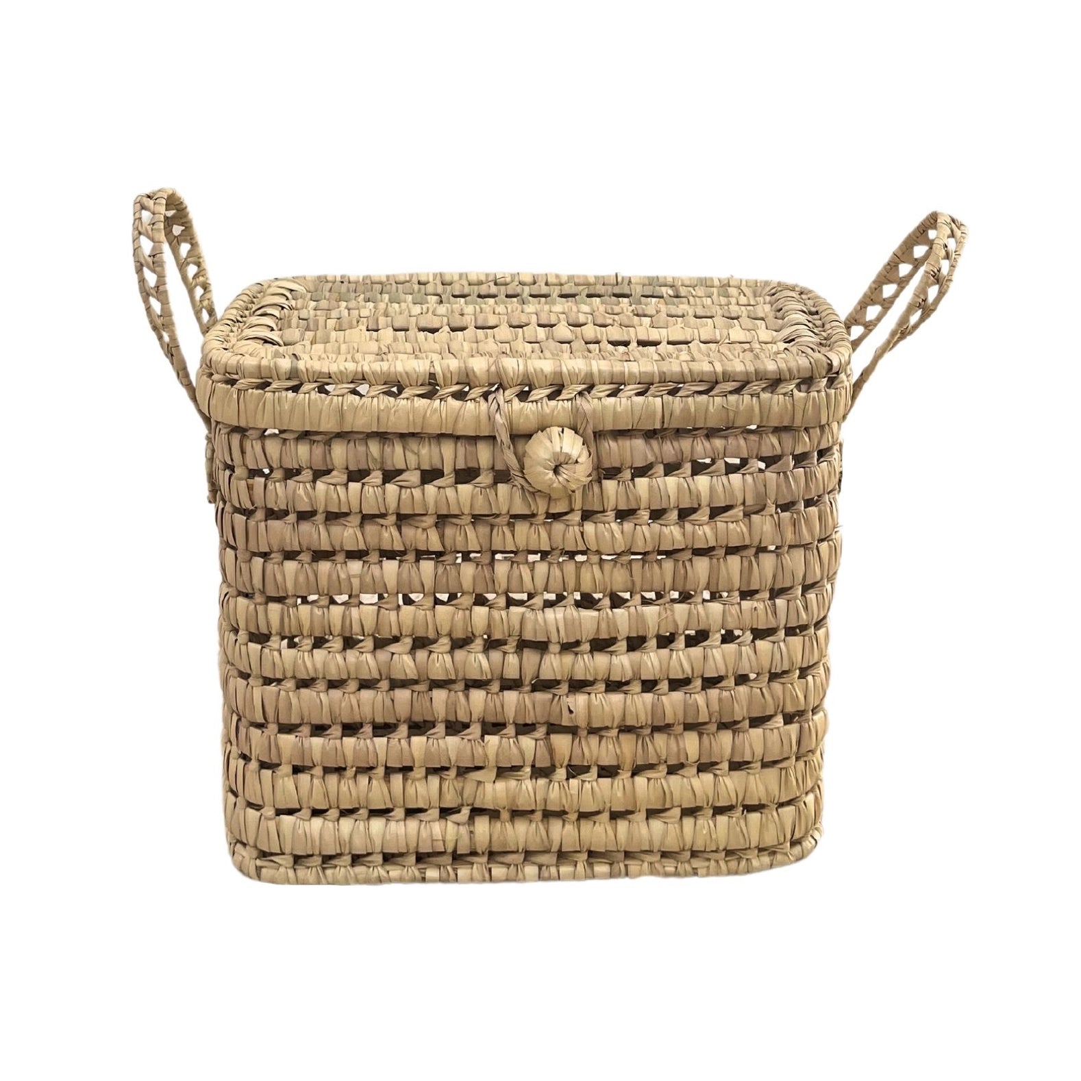 Palmblattstamm 40 cm