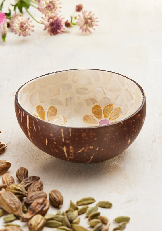 Kokosnussschale, Muschelgänseblümchen