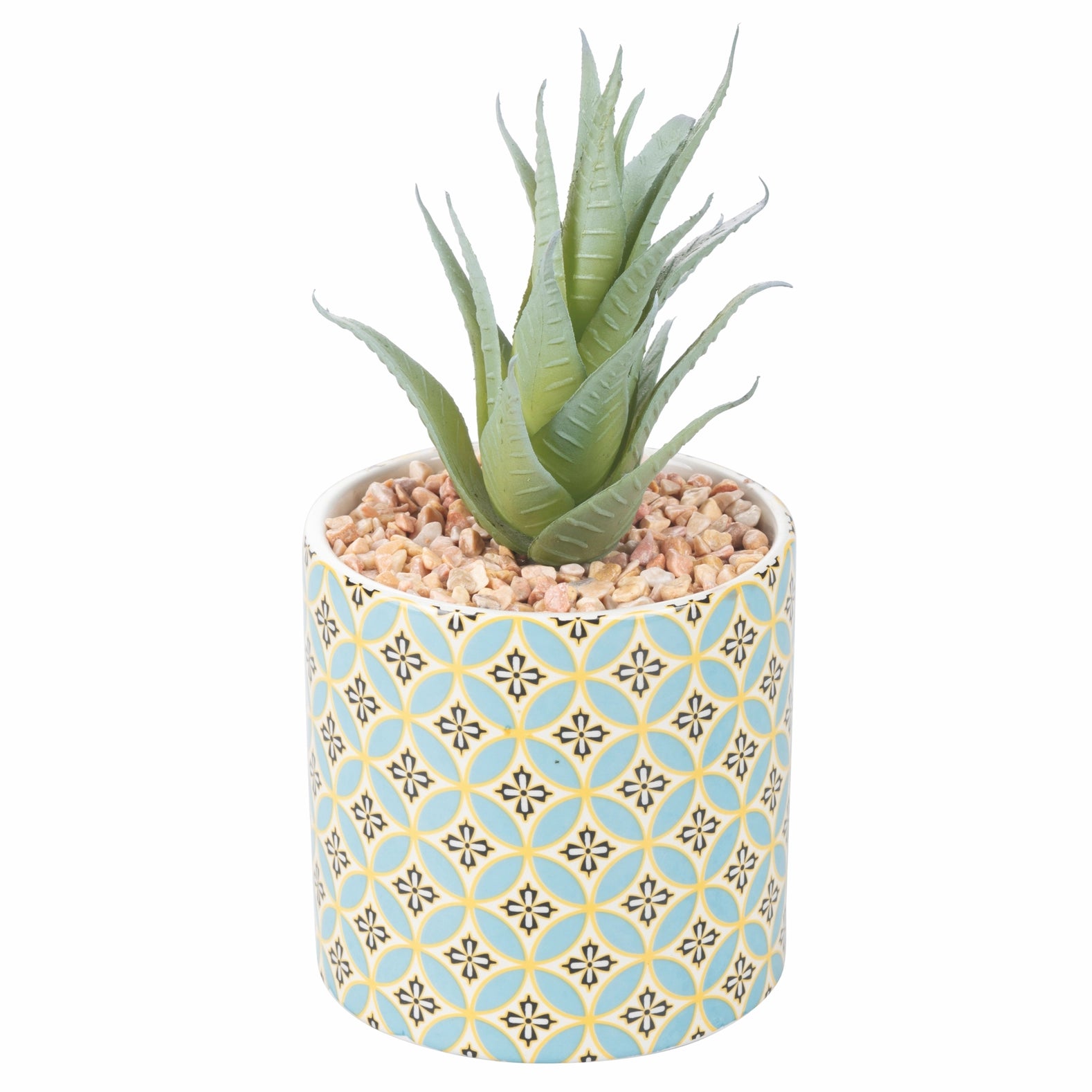 VALLADOLID Pflanze, 4 Stück