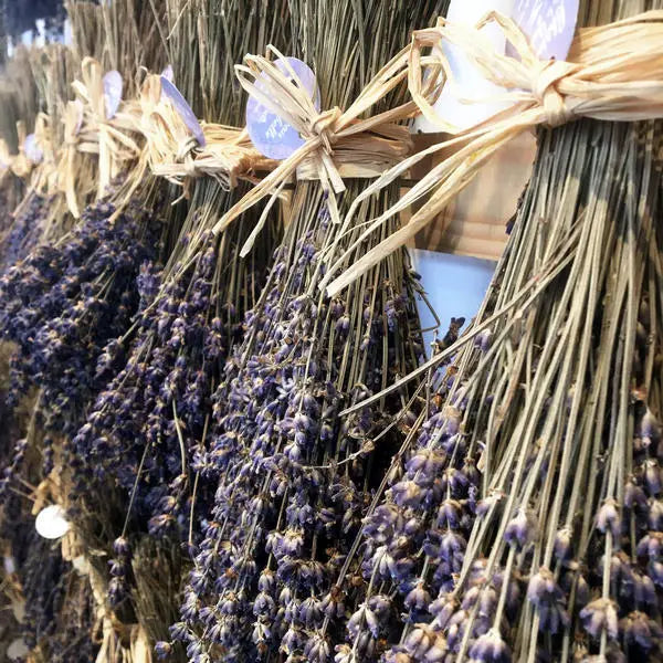 Strauß französischer blauer Bio-Lavendel (80 g)