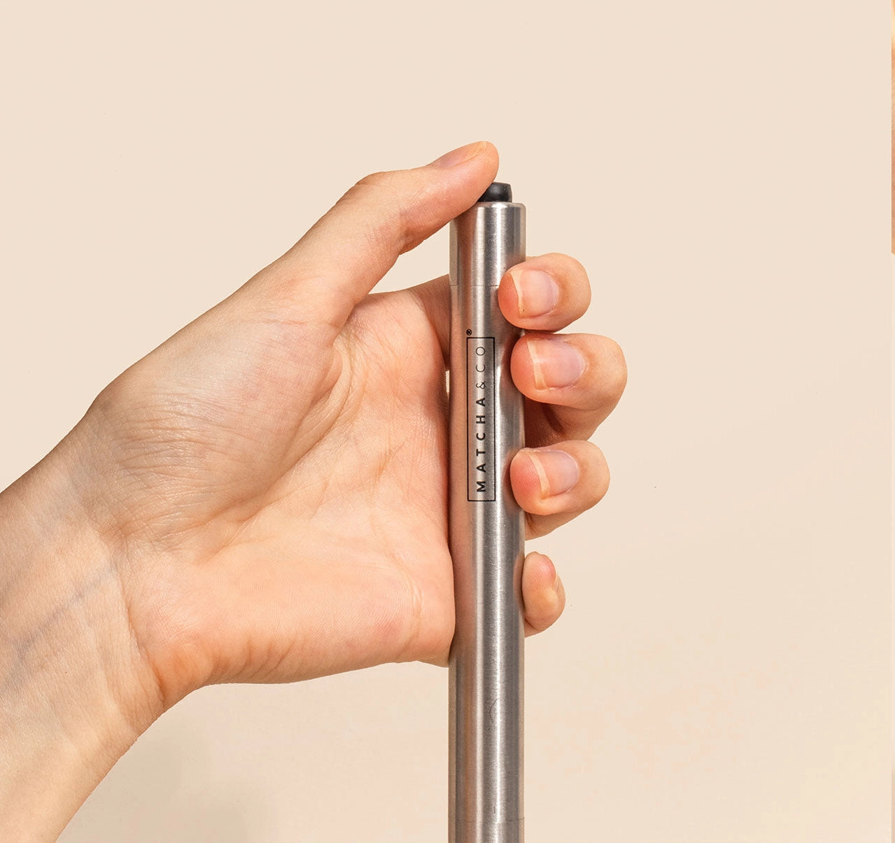 Elektrischer Schneebesen