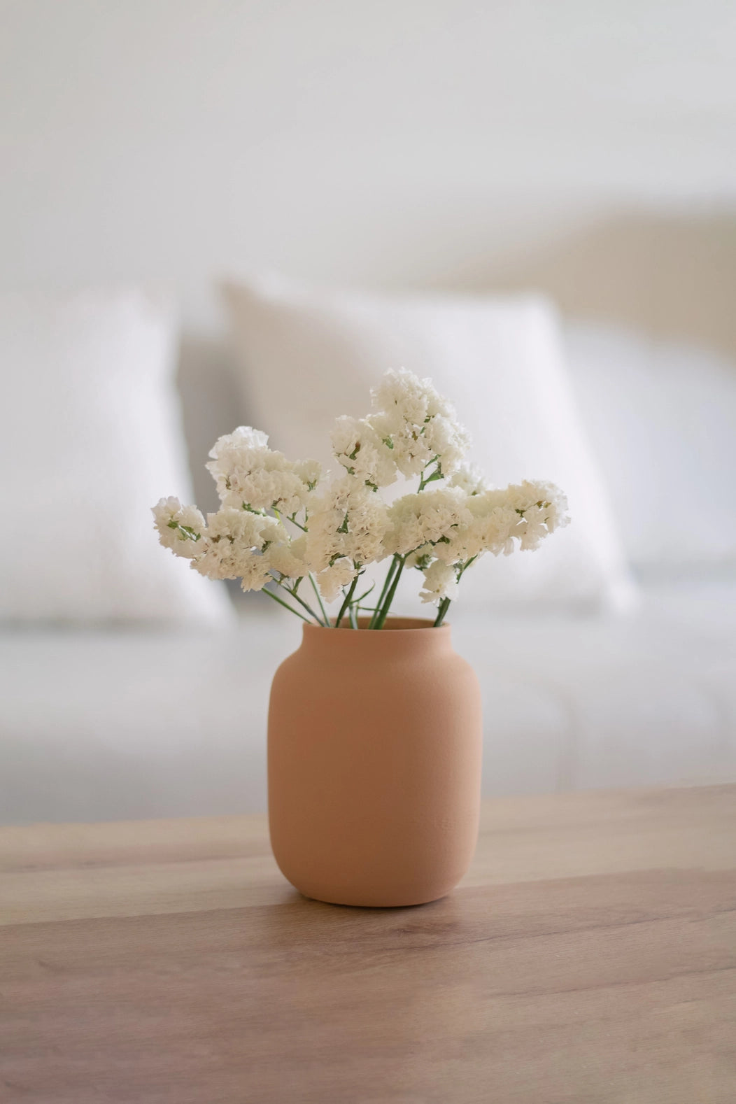 Blanc 04 - Pfirsichfarbene Vase - Perfekt für Trockenblumen - Home