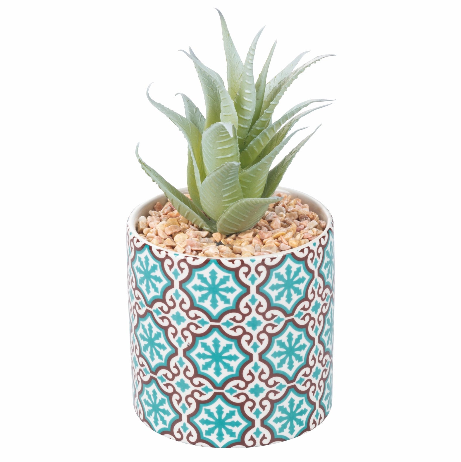 VALLADOLID Pflanze, 4 Stück