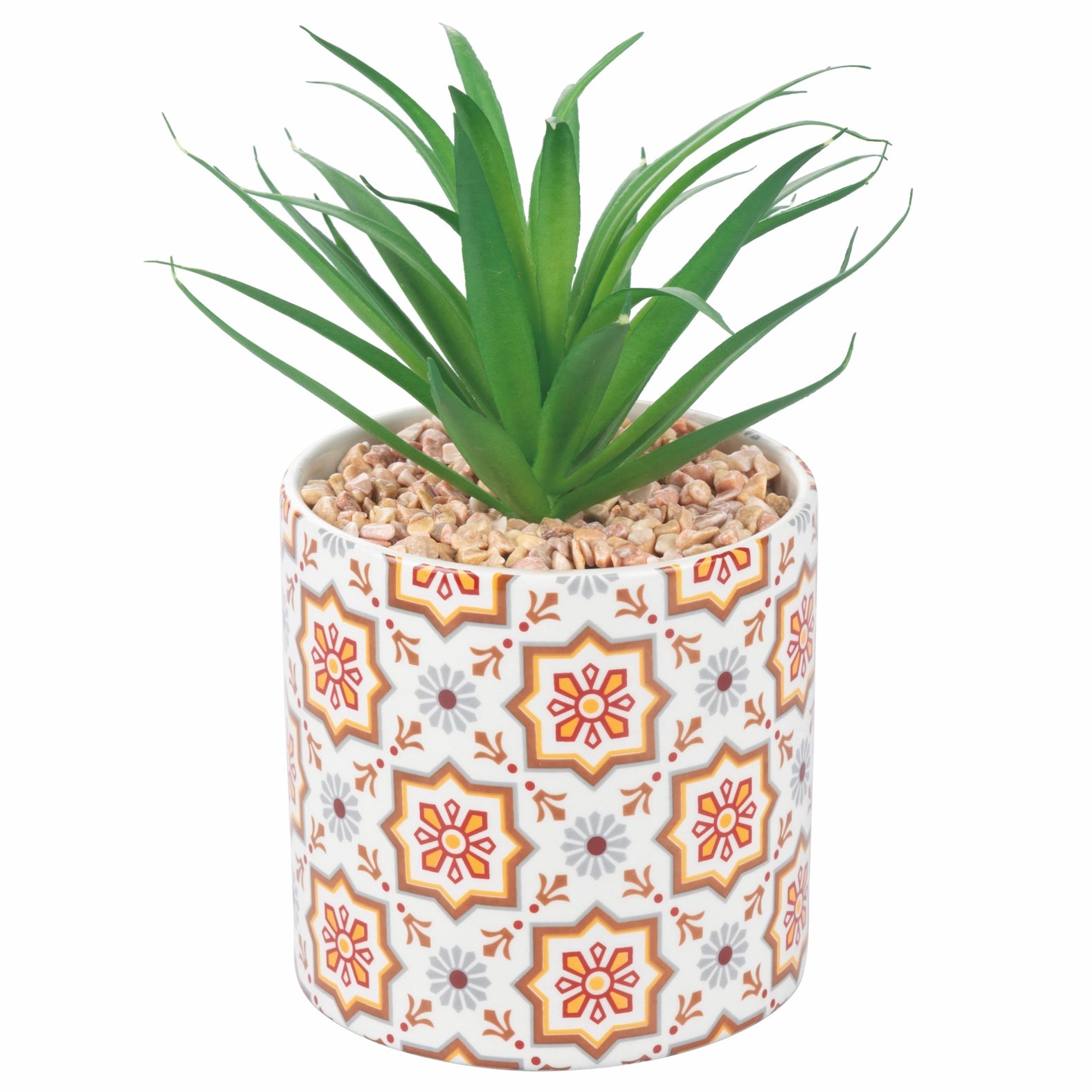 VALLADOLID Pflanze, 4 Stück